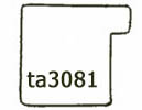 Frame ID: Ta3081-1