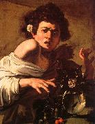 Caravaggio Youth Bitten by a Green Lizard oil painting reproduction