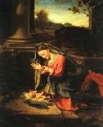 Correggio Madonna Worshipping the Child oil on canvas