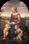 Raphael The Virgin and Child with the infant Saint John the Baptist oil on canvas