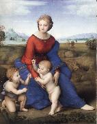 Raphael The Madonna in the Meadow oil on canvas