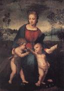 Raphael The Madonna of the Goldfinch oil on canvas