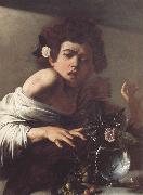Caravaggio Boy Bitten by a Lizard oil painting on canvas