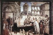 Pinturicchio Death of St. Bernardine oil on canvas