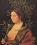 Giorgione Laura (MK45) oil on canvas
