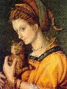BACCHIACCA Portrait de jeune femme tenant un chat oil on canvas