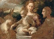 PARMIGIANINO The Mystic Marriage of St Catherine oil on canvas