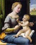 Raphael Madonna dei garofani oil painting picture wholesale