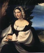 Correggio Portrait of a Gentlewoman oil on canvas