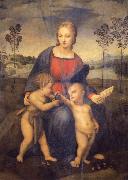 Raphael Madonna of the Goldfinch oil on canvas