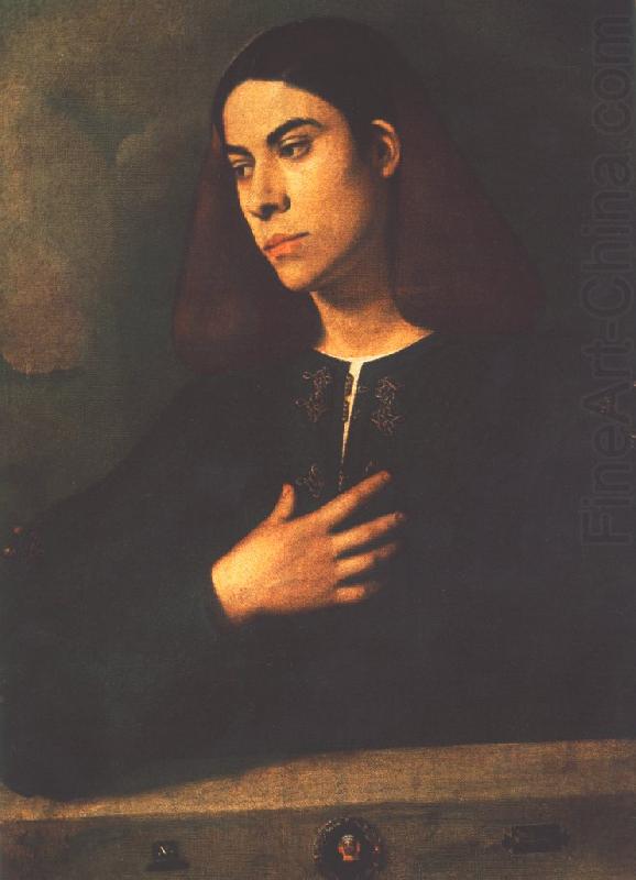 Giorgione Portrait of a Youth (Antonio Broccardo) dsdg china oil painting image