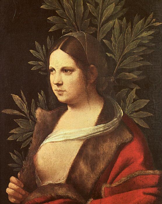 Giorgione Laura china oil painting image