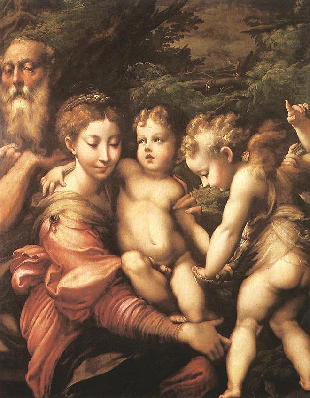 PARMIGIANINO Rest on the Flight to Egypt ag china oil painting image