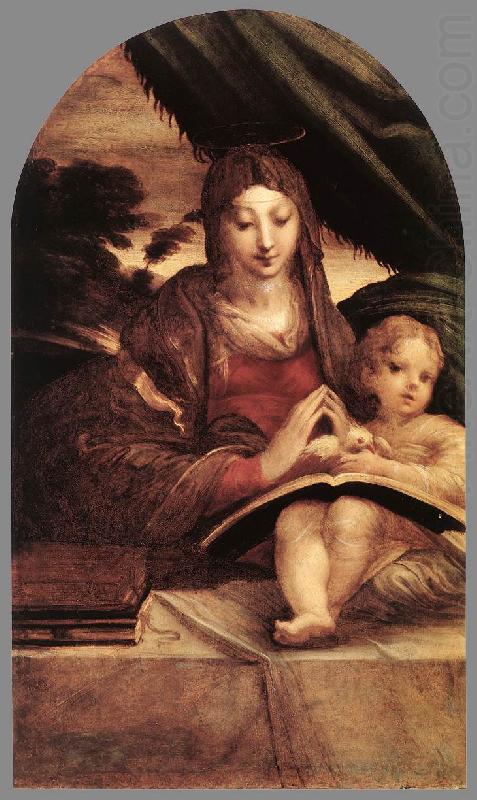 PARMIGIANINO Madonna and Child sg china oil painting image