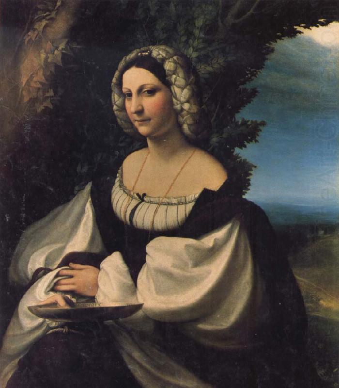 Correggio Portrait of a Lady china oil painting image