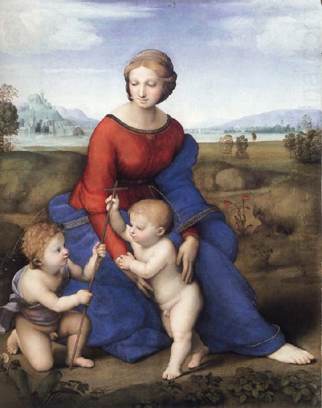 Raphael The Madonna in the Meadow china oil painting image