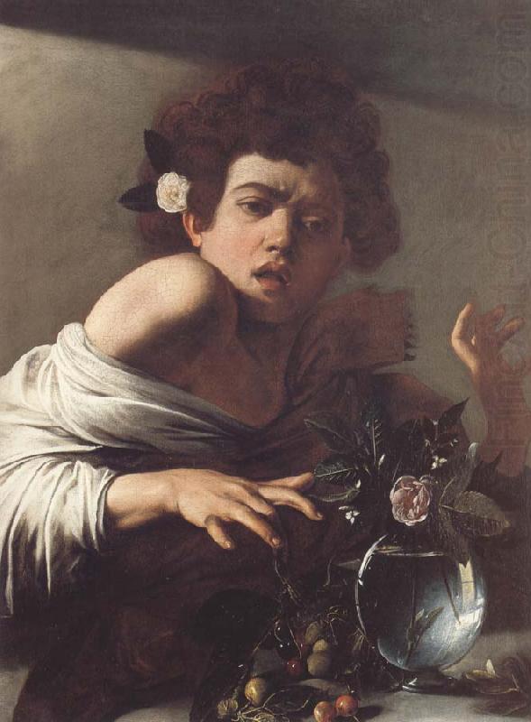Caravaggio Boy Bitten by a Lizard china oil painting image