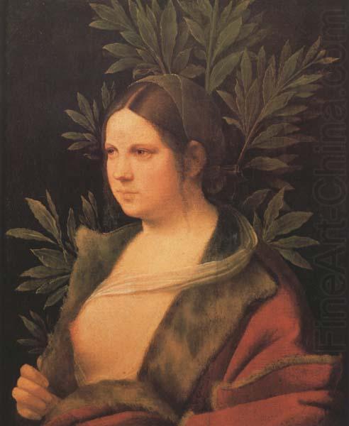 Giorgione Laura (MK45) china oil painting image