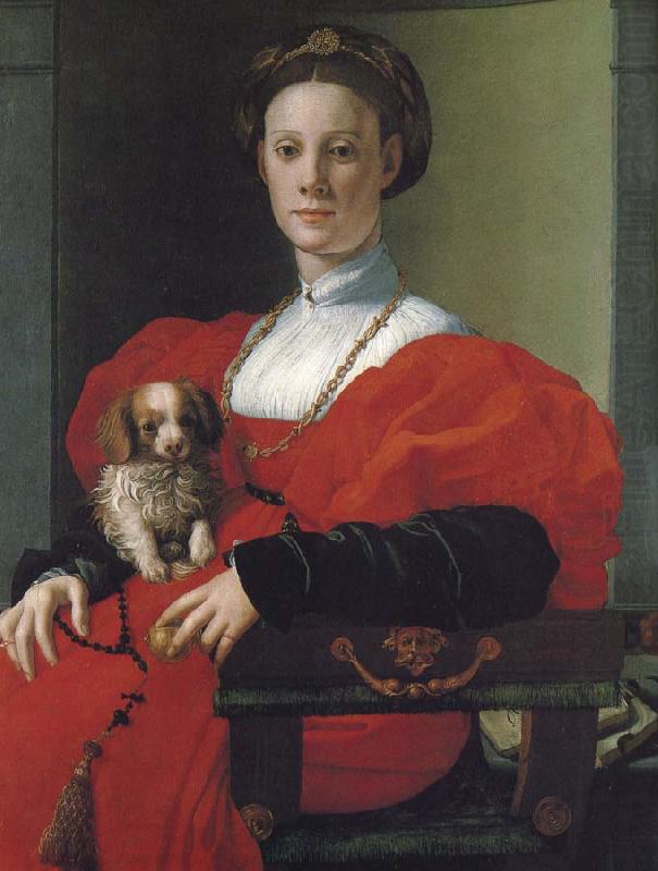 Pontormo Portrait lady china oil painting image