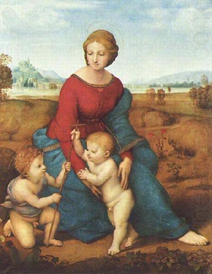Raphael The Madonna of the Meadow china oil painting image