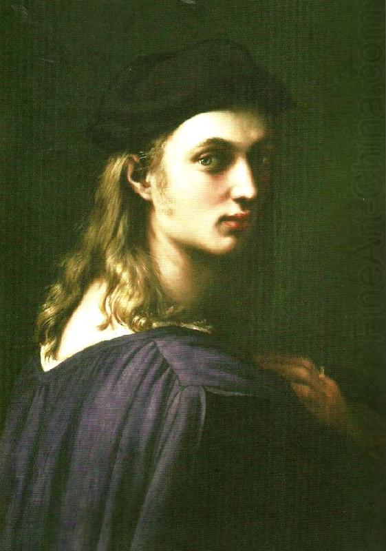 Raphael portrait of bindo altoviti china oil painting image