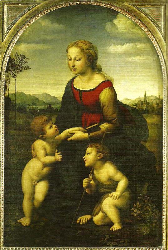 Raphael virgin and child wild st. china oil painting image