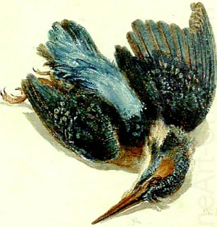 J.M.W.Turner kingfisher china oil painting image