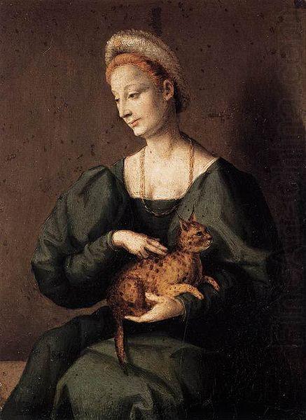 BACCHIACCA Woman with a Cat china oil painting image