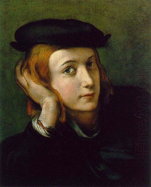 Correggio Portrait of a Young Man, china oil painting image
