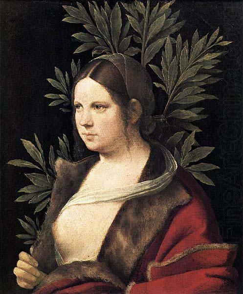 Giorgione Portrait of a Young Woman china oil painting image