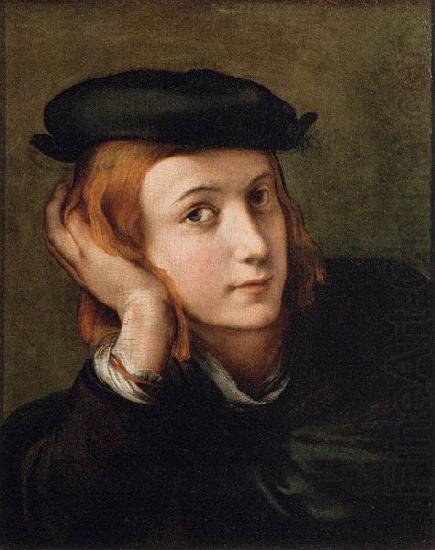 PARMIGIANINO Portrait of a Youth china oil painting image