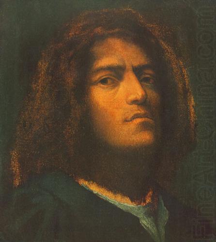 Giorgione portrait china oil painting image