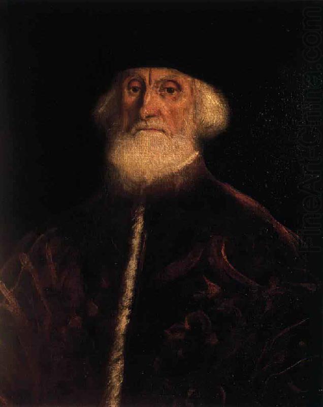 Tintoretto Portrait of Procurator Jacopo Soranzo china oil painting image
