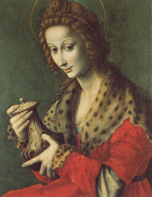 Bachiacca Mary Magdalen china oil painting image
