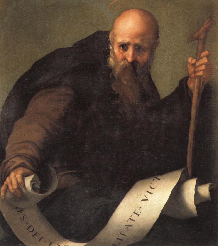 Pontormo St.Anthony Abbot china oil painting image