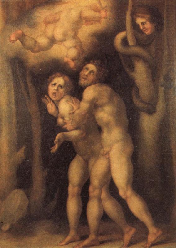 Pontormo The Fall of Adam and Eve china oil painting image
