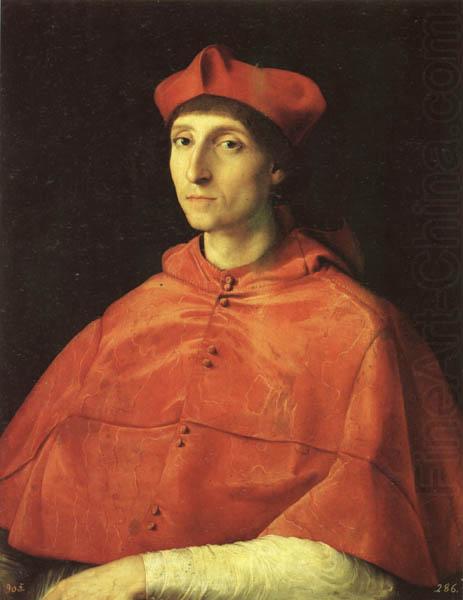 Raphael Portrait of a Cardinal china oil painting image