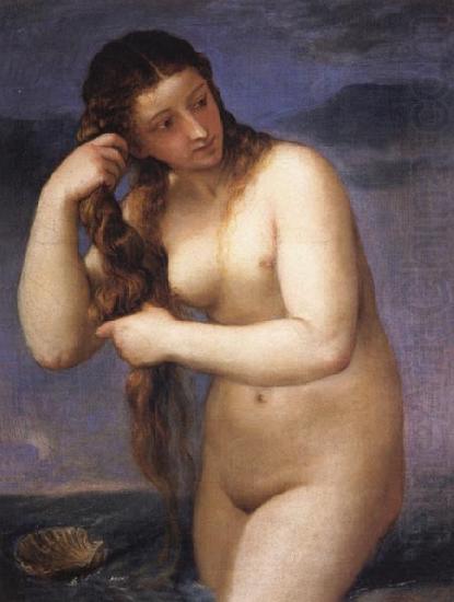 Titian Venus Anadyomenes china oil painting image