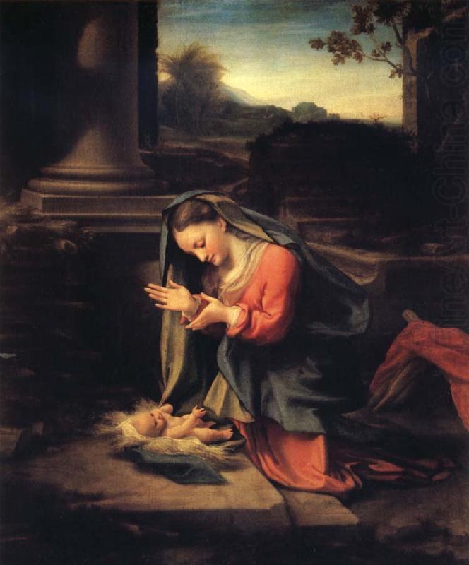 Correggio Madonna worshipping the Child china oil painting image