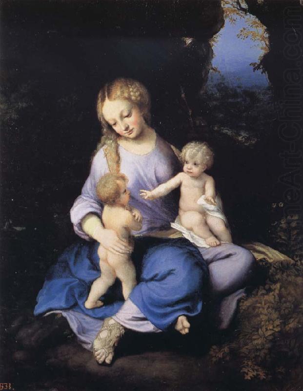 Correggio Madonna and Child with the Young Saint John china oil painting image