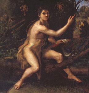Raphael John the Baptist (mk05) china oil painting image