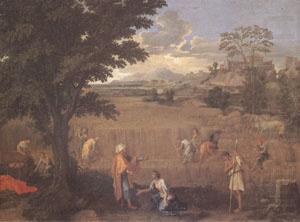 Poussin Summer or Ruth and Boas (mk05) china oil painting image