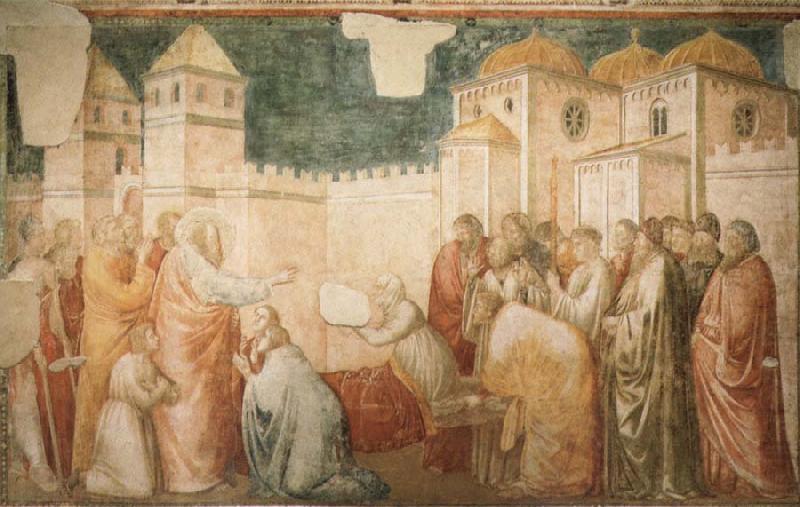Giotto The Raising of Drusiana,Cappella Peruzzi china oil painting image