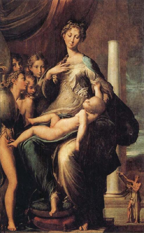 PARMIGIANINO Madonna of the Long Neck china oil painting image