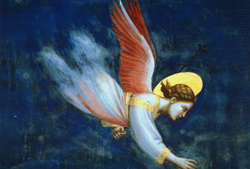 Giotto Detail of an Angel oil painting picture