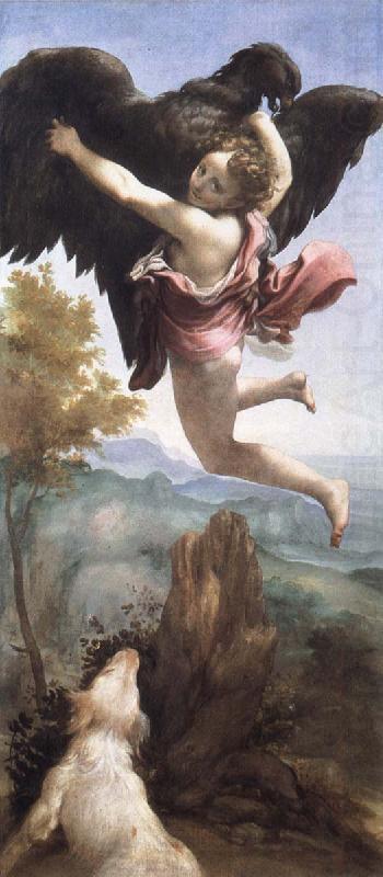Abducation of Ganymede, Correggio