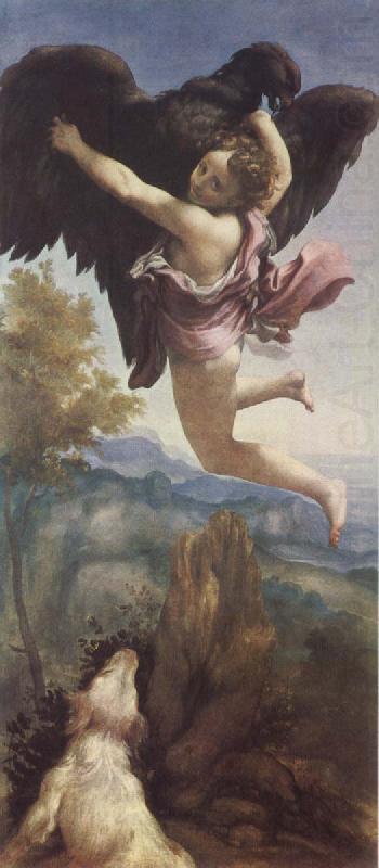 Abduction of Ganymede, Correggio