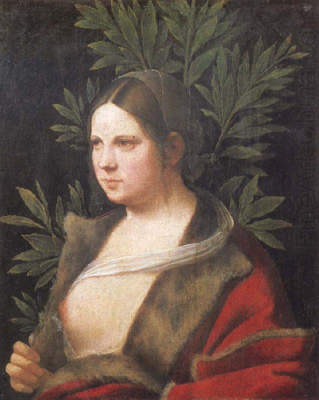 Portrait of a young woman, Giorgione