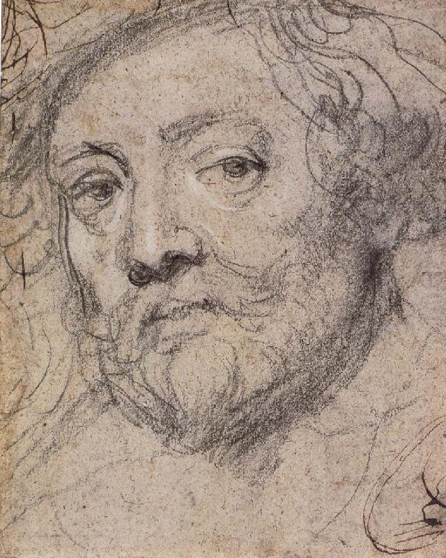 Rubens Self Portrait. Self-Portrait, Peter Paul