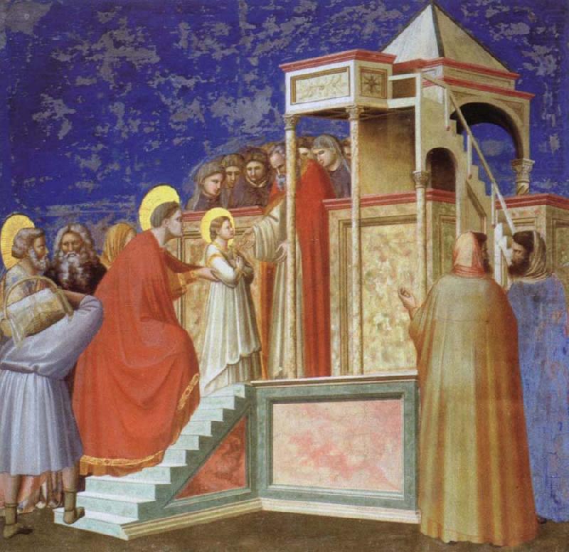 Presentation of the VIrgin ar the Temple, Giotto